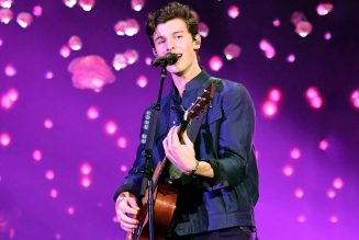 Shawn Mendes, Megan Thee Stallion & More to Perform at 2020 American Music Awards