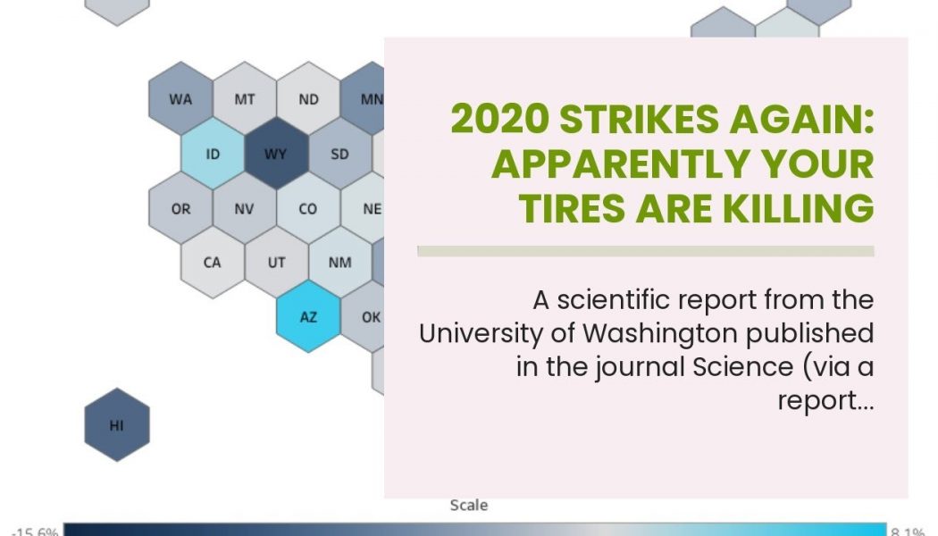 2020 Strikes Again: Apparently Your Tires Are Killing Salmon