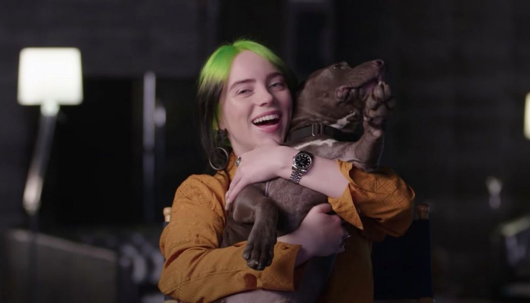 Billie Eilish Discusses Her Identity Crisis, New Music in “Time Capsule” Interview: Watch