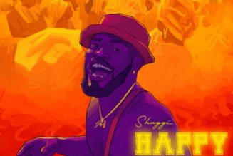 Broda Shaggi – Happy Day