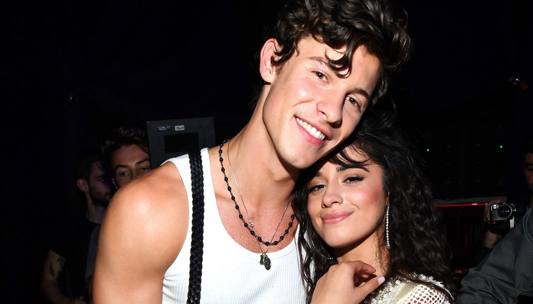 Camila Cabello & Shawn Mendes Release Surprise ‘The Christmas Song’ Duet