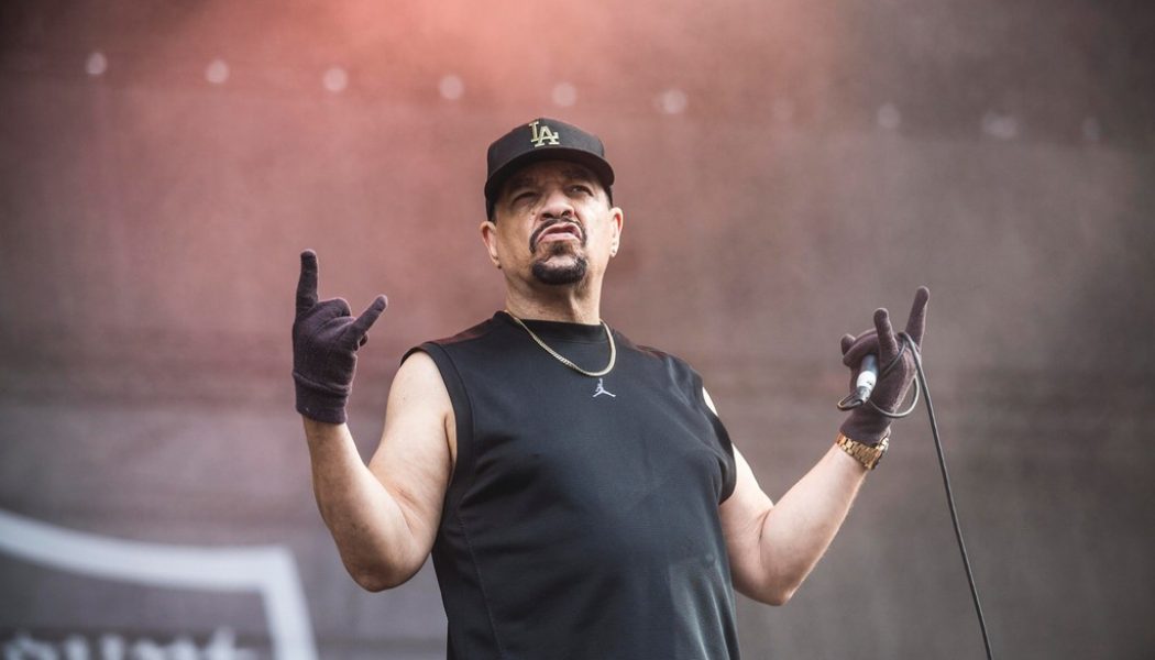 Ice-T Revealed as the Disco Ball on ‘Masked Dancer’ Premiere