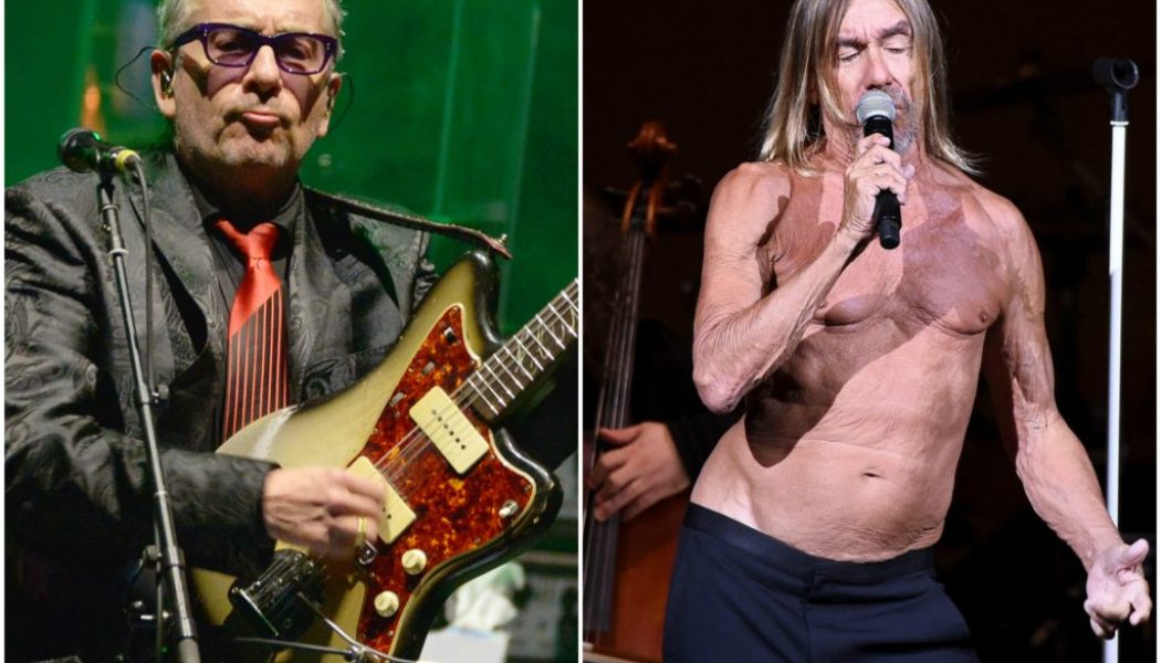 Iggy Pop Covers Elvis Costello’s “No Flag” in French