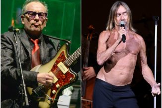 Iggy Pop Covers Elvis Costello’s “No Flag” in French