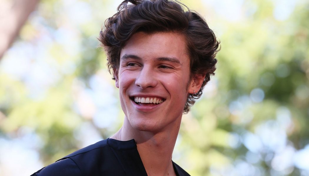 Shawn Mendes Is the Youngest Artist Ever to Top the Billboard 200 With Four Full-Length Studio Albums