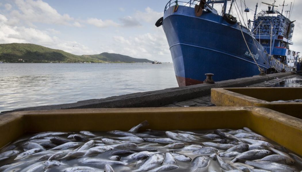 Slavery and overfishing on the high seas can’t hide from these researchers