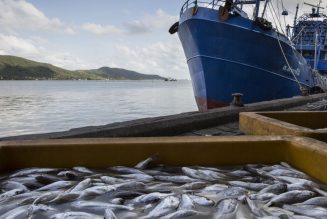 Slavery and overfishing on the high seas can’t hide from these researchers