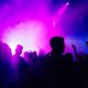 Australia Dance Music Festival Shut Down by Police After Drunken Brawl