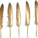 Feather Pieces!