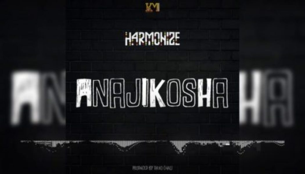 Harmonize – Anajikosha