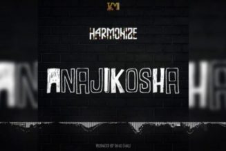 Harmonize – Anajikosha