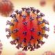 Japan detects new coronavirus variant