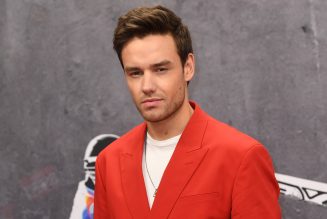 Liam Payne Opens Up About the Complications of Co-Parenting During the Pandemic