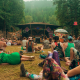 Shambhala Music Festival to Open a Campground for Summer 2021