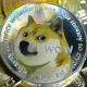 Elon Musk Tweet causes Dogecoin Price to Soar