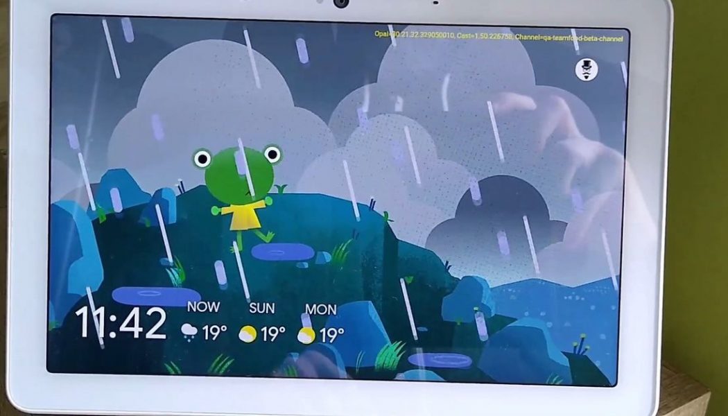 Google’s weather frog spotted on smart displays