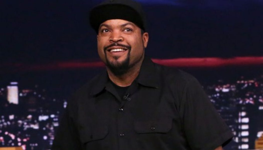 Ice Cube To Meet With Joe Biden To Discuss “Contract With Black America”