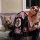 Lady Gaga’s French Bulldogs Recovered Safely by Police