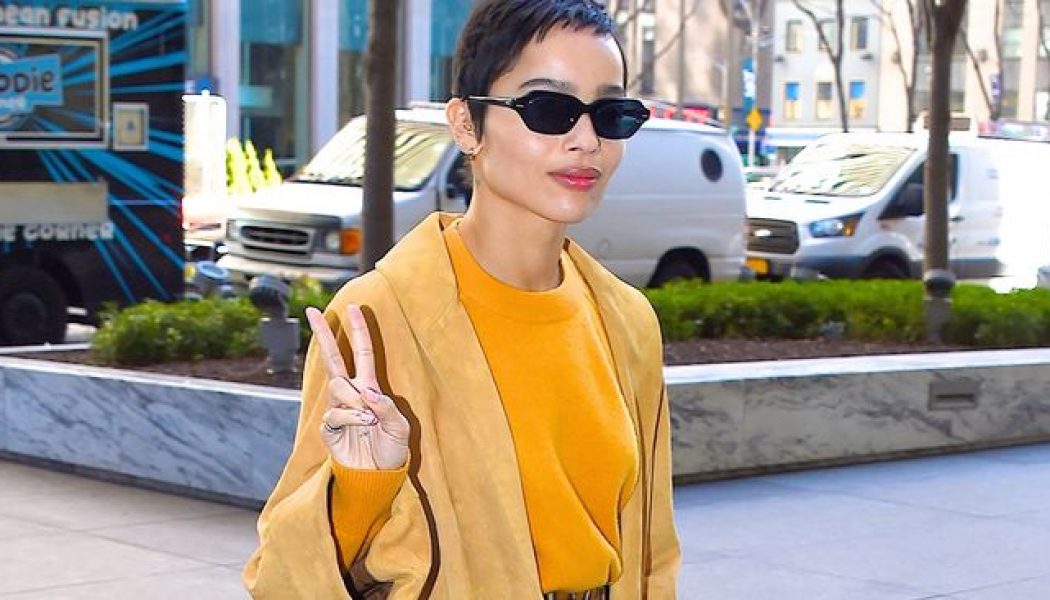 Only Zoë Kravitz Could Convince Me to Try This Footwear Trend