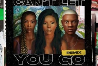 Stefflon Don – Can’t Let You Go (Remix) ft Tiwa Savage & Rema