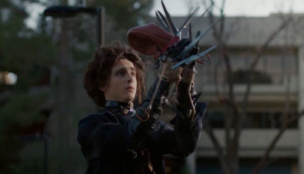 Timothée Chalamet is Edward Scissorhands’ Son in New Super Bowl Commercial: Watch