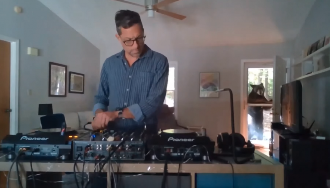 [WATCH] Wild Bear Interrupts Livestreamed DJ Set