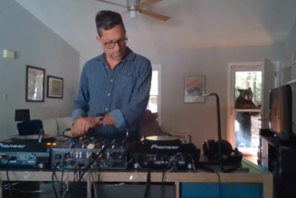 [WATCH] Wild Bear Interrupts Livestreamed DJ Set