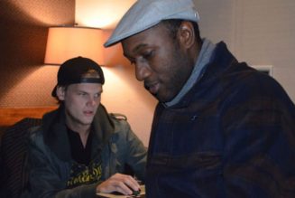 Aloe Blacc Says Additional Collaborations With Avicii Are Pending Approval