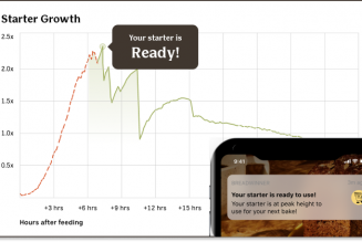 Breadwinner is the new smart sourdough starter tracker of my dreams