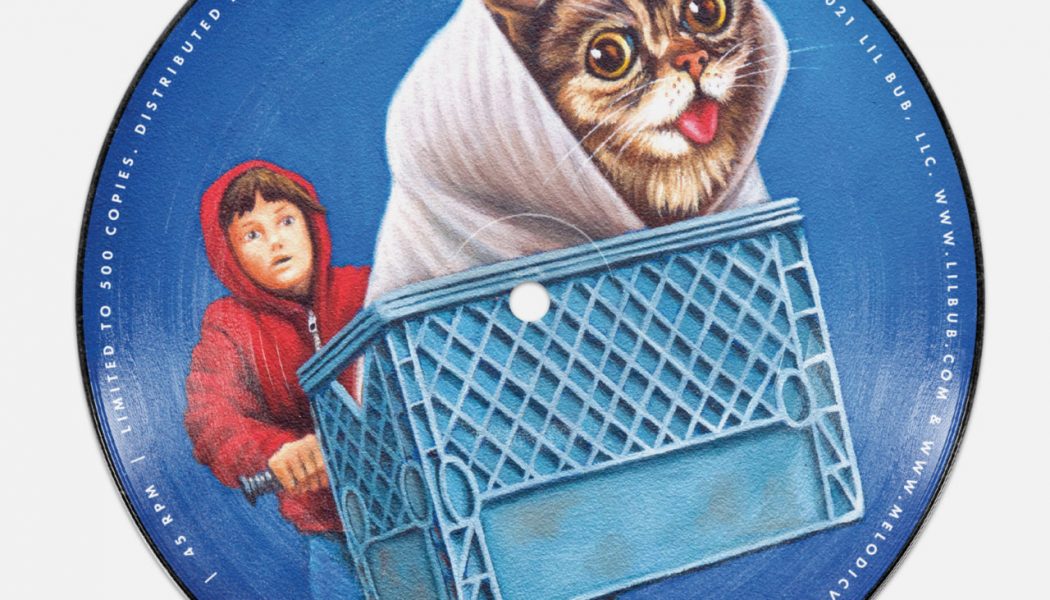 Lil BUB: The Earth Years Book and Music Project to Feature Jack Black, El-P, Thurston Moore