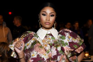 Nicki Minaj’s Mother Files $150M Lawsuit Against Driver Charged in Father’s Hit-and-Run Death