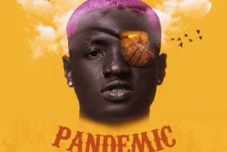 Ruger – Pandemic EP Download