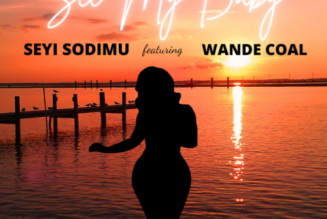 Seyi Sodimu – See My Baby ft Wande Coal