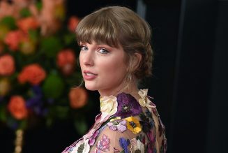 Taylor Swift & Evermore Theme Park End Legal Battle, Drop Lawsuits