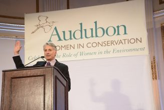 Audubon CEO resigns after complaints of toxic workplace