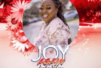 AyoDouble Joy – Joy Again