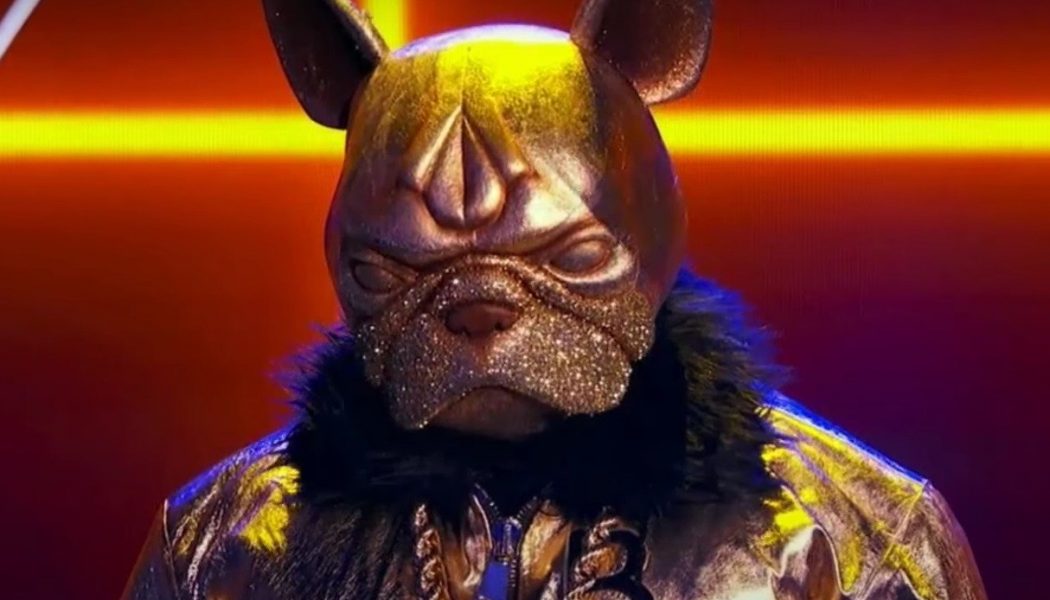 Bulldog Off the Leash in Surprise-Packed ‘The Masked Singer’