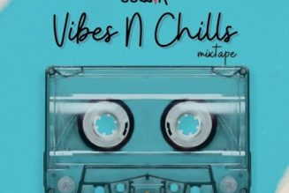 DJ Dewik – Vibes and Chill Mixtape