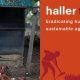 How the Haller Foundation is Helping Smallholder Farmers Across Africa