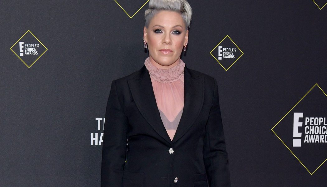 P!nk to Join Rag’n’Bone Man For 2021 BRIT Awards Performance