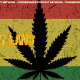 Rootsland Revisits the Sordid Political History of Jamaican Ganja