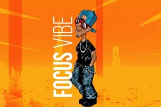 Slimcase – Focus Vibe