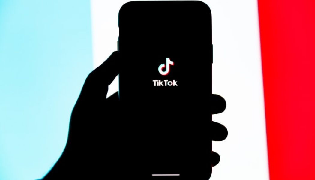 Study: One in Four People Discover EDM Through TikTok