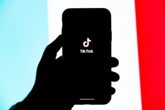 Study: One in Four People Discover EDM Through TikTok