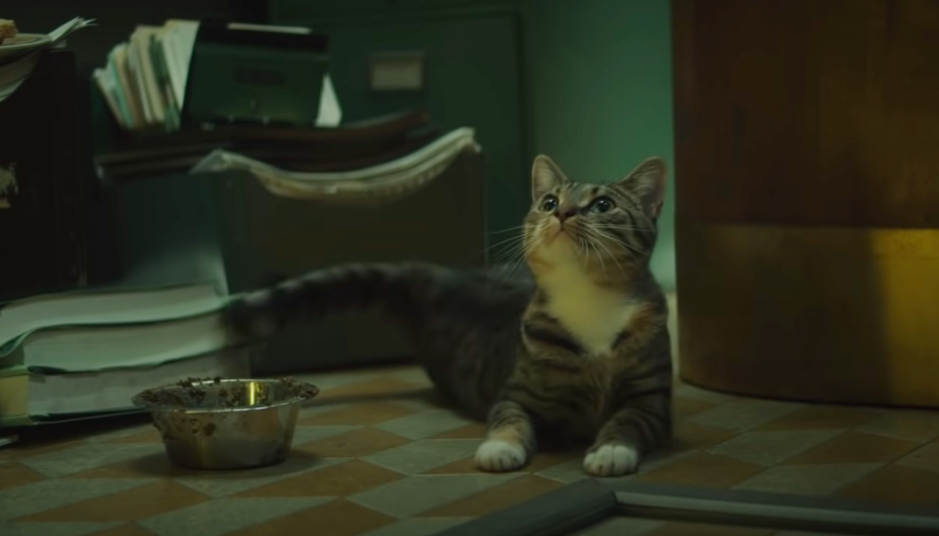 We Need to Talk About the Cat in the Loki Trailer