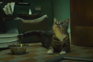 We Need to Talk About the Cat in the Loki Trailer