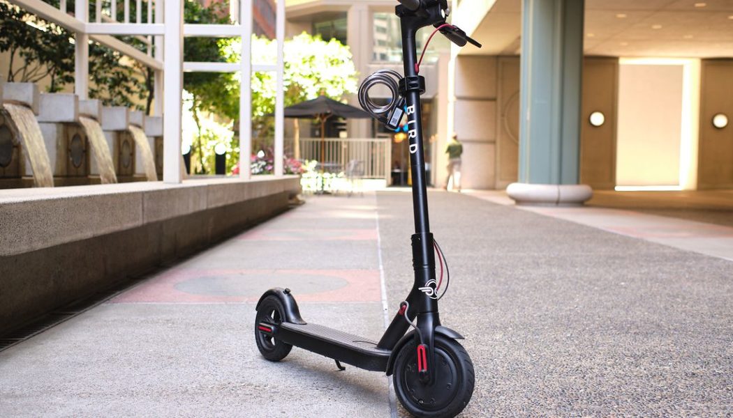 Bird is reportedly taking its electric scooter company public via SPAC