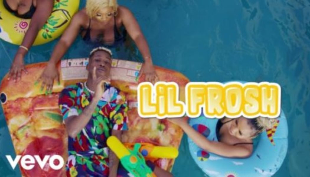 Lil Frosh, Zinoleesky – Omo Ologo [VIDEO]