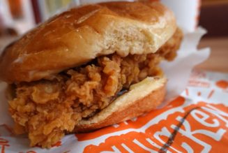 Tim Sweeney concludes Epic v. Apple trial by repping fried chicken