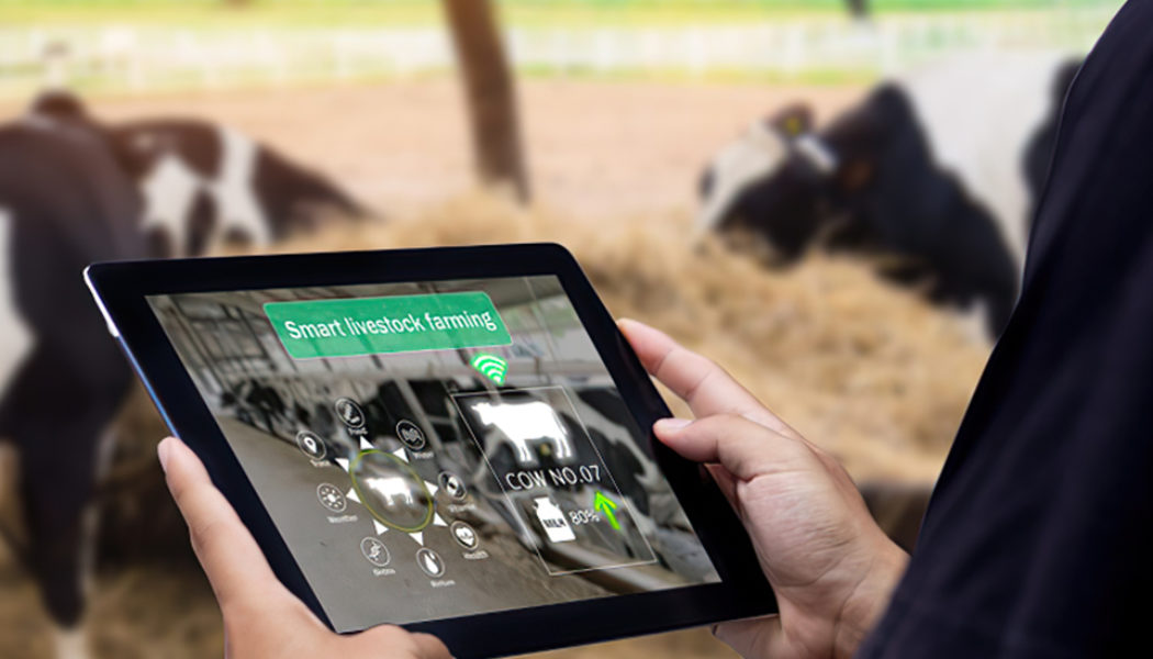 E-Livestock and Mastercard Launch Blockchain-Based Solution to Aid Farmers in Zimbabwe